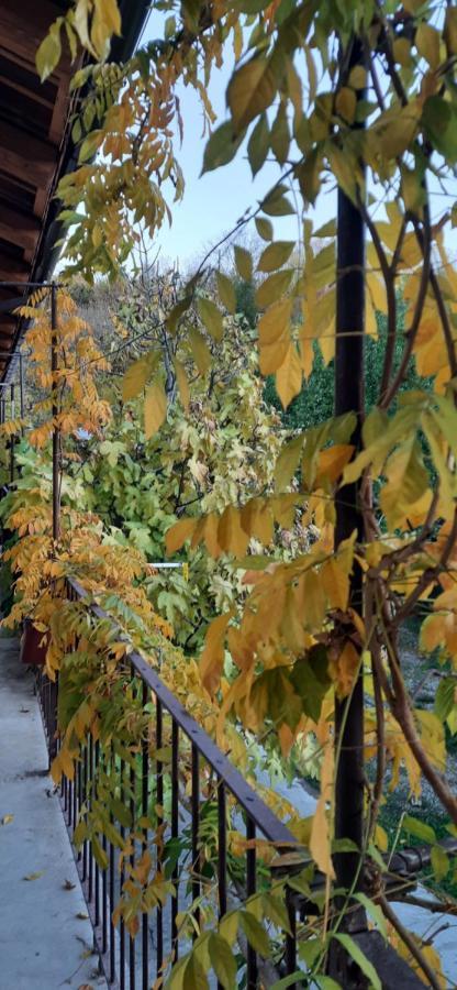 Il Giardino Del Gallo 케라스코 외부 사진