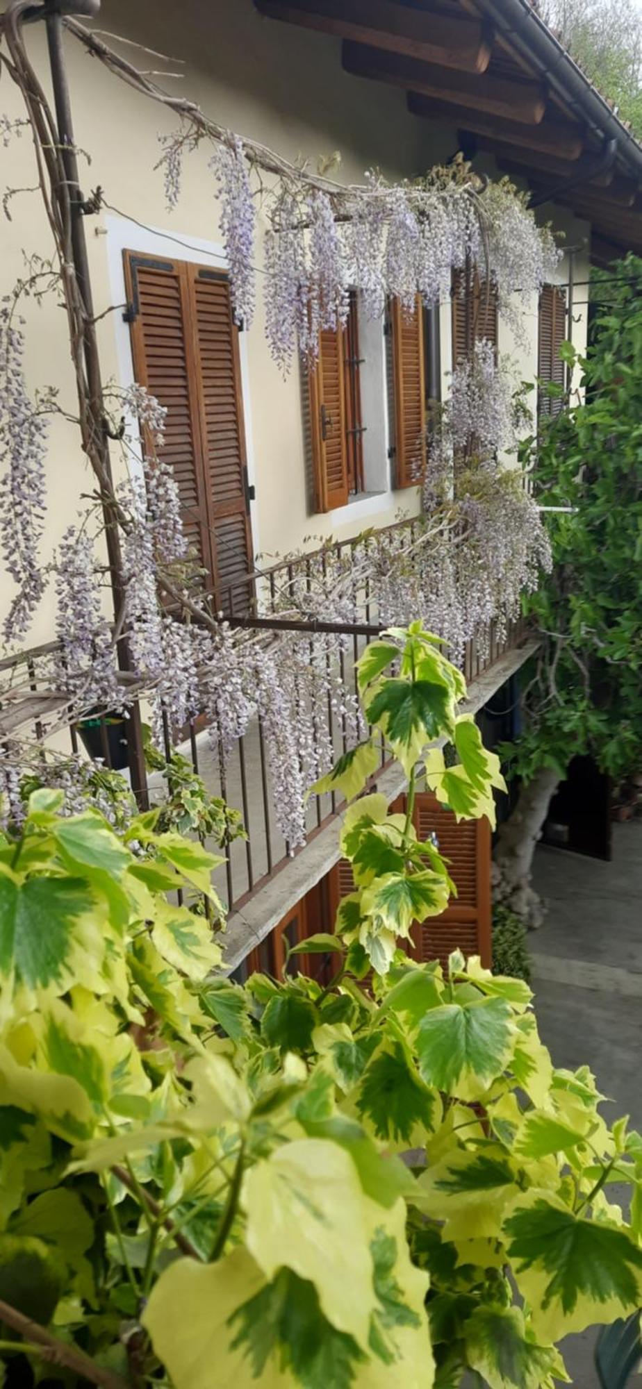 Il Giardino Del Gallo 케라스코 외부 사진