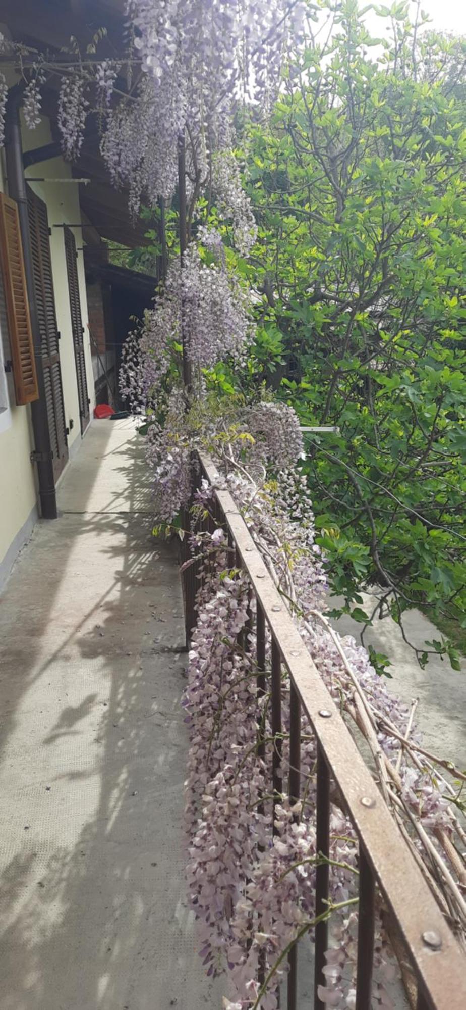 Il Giardino Del Gallo 케라스코 외부 사진