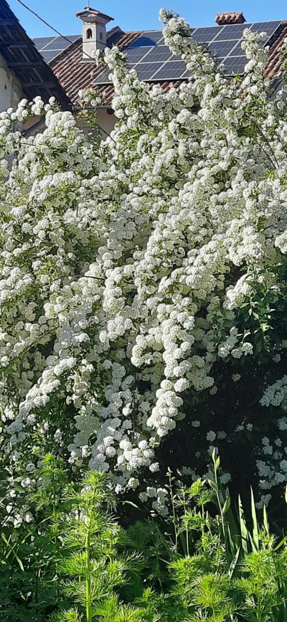 Il Giardino Del Gallo 케라스코 외부 사진