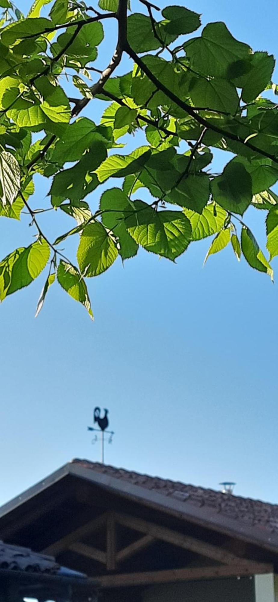 Il Giardino Del Gallo 케라스코 외부 사진