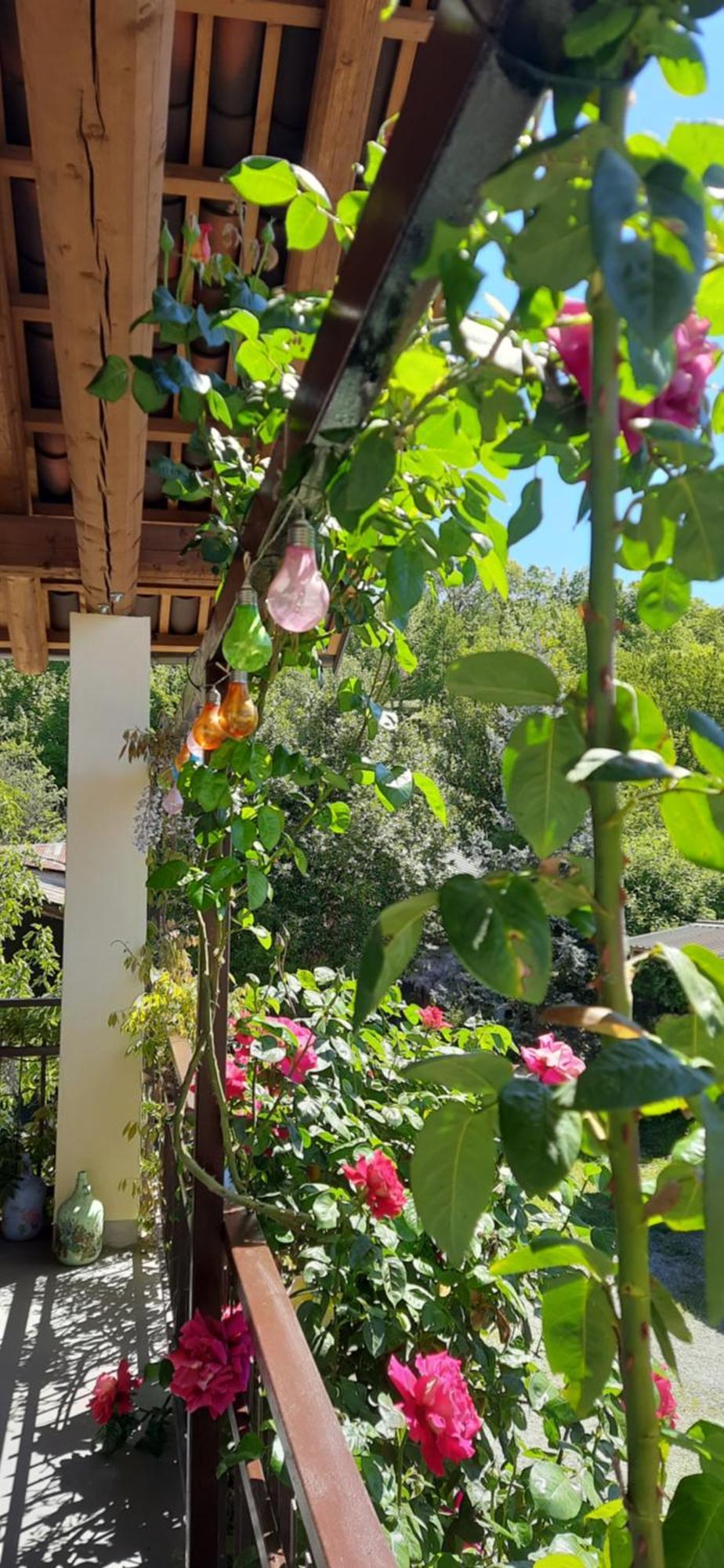 Il Giardino Del Gallo 케라스코 외부 사진