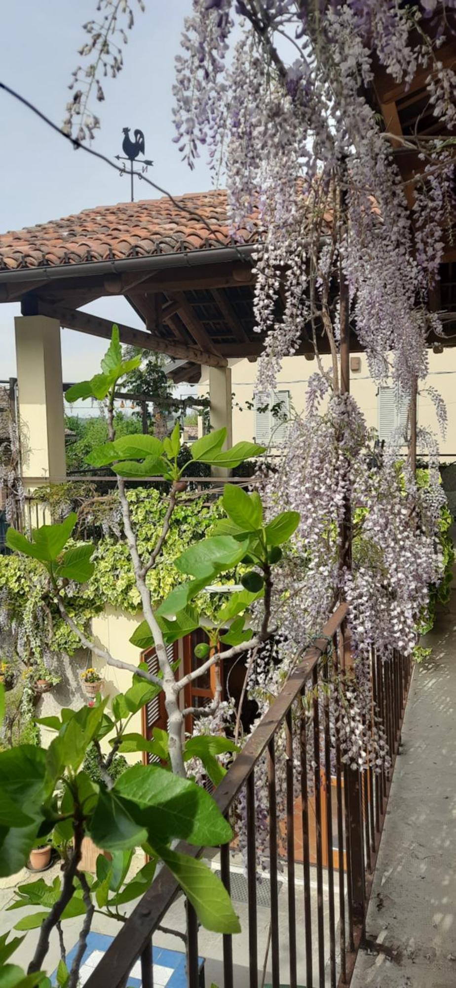 Il Giardino Del Gallo 케라스코 외부 사진