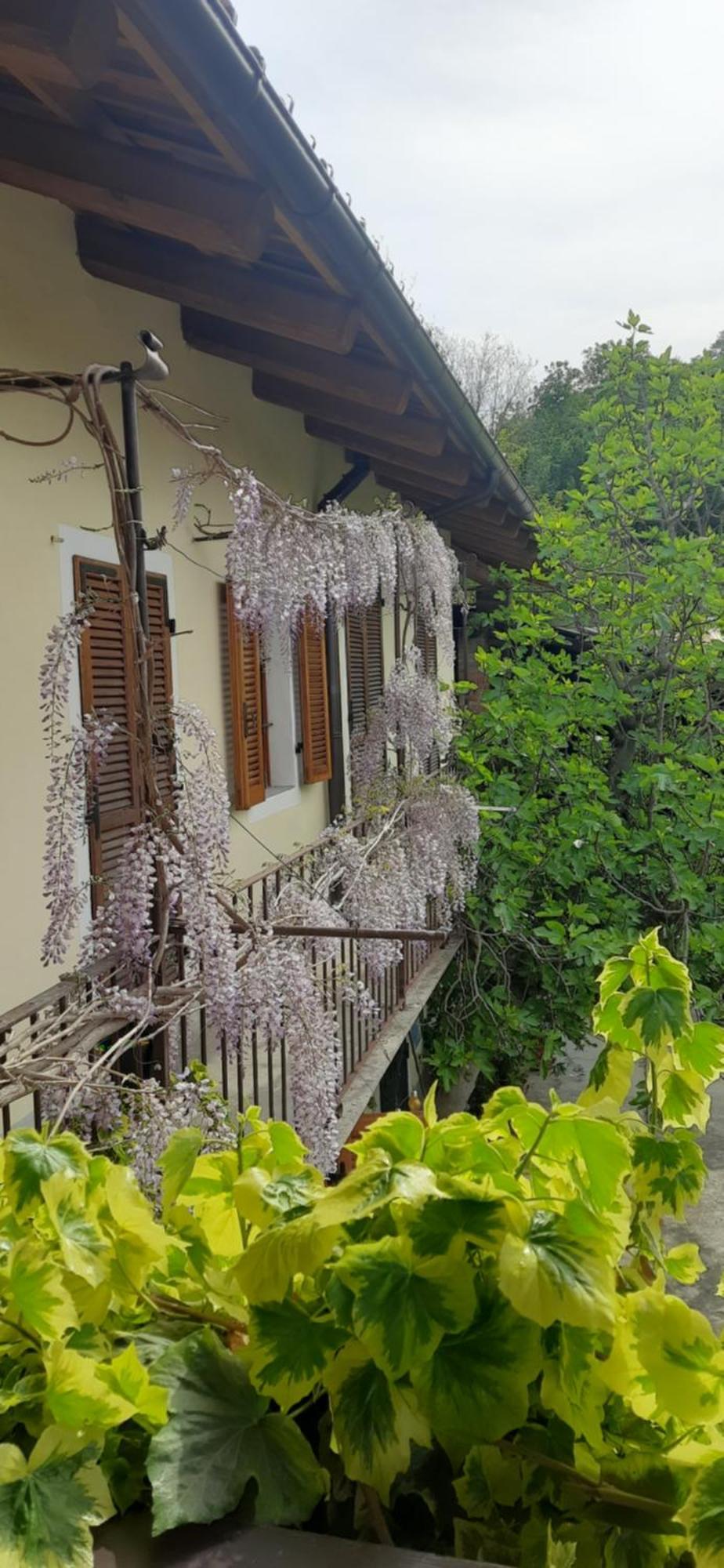 Il Giardino Del Gallo 케라스코 외부 사진