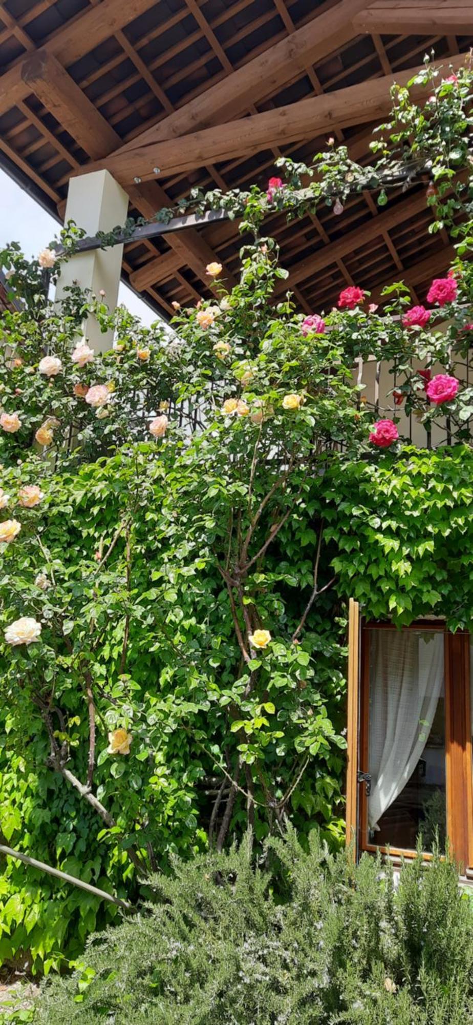 Il Giardino Del Gallo 케라스코 외부 사진