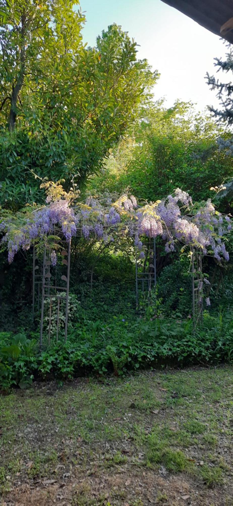 Il Giardino Del Gallo 케라스코 외부 사진